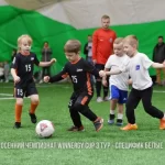 Занятия йогой, фитнесом в спортзале Футбольный клуб Специфик Москва