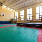 Занятия йогой, фитнесом в спортзале ГБОУ г. Москвы школа 953 Москва