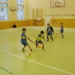 Занятия йогой, фитнесом в спортзале ГБОУ г. Москвы школа 953 Москва