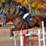 Занятия йогой, фитнесом в спортзале ГБУ Ко Спортивная школа по борьбе Калуга