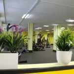 Занятия йогой, фитнесом в спортзале Глобал Фитнес Томск