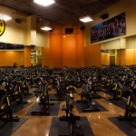 Занятия йогой, фитнесом в спортзале Gold gym Белгород