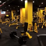 Занятия йогой, фитнесом в спортзале Gold Gym Новокузнецк