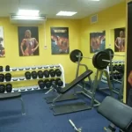 Занятия йогой, фитнесом в спортзале Golden Body Gym Северск