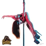 Занятия йогой, фитнесом в спортзале Goldy Pole Dance Химки