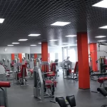 Занятия йогой, фитнесом в спортзале Гора Барнаул