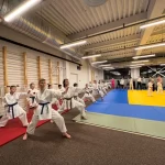 Занятия йогой, фитнесом в спортзале Гора, клуб спортивного каратэ-до Ярославль