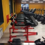 Занятия йогой, фитнесом в спортзале Gordey Gym Раменское