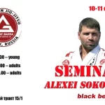 Занятия йогой, фитнесом в спортзале Gracie Barra Tomsk бразильское джиу-джитсу Томск