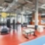 Занятия йогой, фитнесом в спортзале Gravity Pole Hub Санкт-Петербург