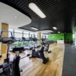 Занятия йогой, фитнесом в спортзале Green Stretching Москва