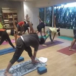 Занятия йогой, фитнесом в спортзале Green Yoga Владивосток