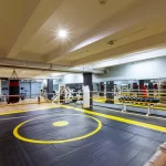 Занятия йогой, фитнесом в спортзале Грей Тайгер Тим Москва