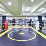 Занятия йогой, фитнесом в спортзале Грей Тайгер Тим Москва