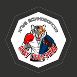 Спортивный клуб Грей Тайгер Тим