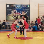 Занятия йогой, фитнесом в спортзале Греко-римская борьба Люберцы