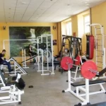 Занятия йогой, фитнесом в спортзале Гриффон Иваново