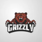 Занятия йогой, фитнесом в спортзале Grizzly Dojo Казань