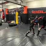 Занятия йогой, фитнесом в спортзале Idol-mma Москва