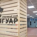 Занятия йогой, фитнесом в спортзале Jaguar Уфа