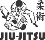 Спортивный клуб Jiu-Jitsu Nation