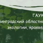 Занятия йогой, фитнесом в спортзале Калининградский областной детско-юношеский центр экологии, краеведения и туризма Калининград