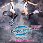 Занятия йогой, фитнесом в спортзале KangooJumps Зеленоград