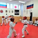 Занятия йогой, фитнесом в спортзале Каратэ и кикбоксинг Москва