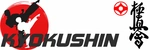 Спортивный клуб Каратэ Киокушин Профи