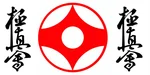 Спортивный клуб Каратэ киокушинкай