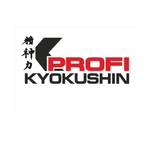 Спортивный клуб Каратэ Киокусинкай Kyokushin Profi