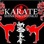 Занятия йогой, фитнесом в спортзале Karate Shinkyokushinkai Dojo Прохладный