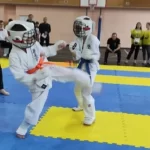 Занятия йогой, фитнесом в спортзале Karmazin Dojo Иркутск