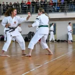 Занятия йогой, фитнесом в спортзале Кемпо МАИ Москва