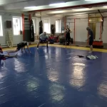 Занятия йогой, фитнесом в спортзале Кемпо Москва