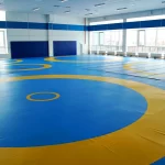 Занятия йогой, фитнесом в спортзале КГАУ Спортивная школа Краевой центр единоборств Хабаровск