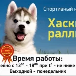 Занятия йогой, фитнесом в спортзале Хаски Красноярск