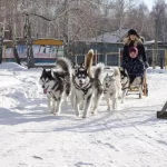 Занятия йогой, фитнесом в спортзале Хаски Минусинск