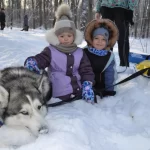 Занятия йогой, фитнесом в спортзале Хаски Минусинск