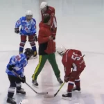 Занятия йогой, фитнесом в спортзале Хоккей с шайбой Новосибирск