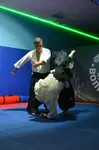 Спортивный клуб Ки-Айкидо