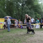 Занятия йогой, фитнесом в спортзале Кинологический центр Сокольники Москва
