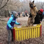 Занятия йогой, фитнесом в спортзале Кинологический центр Сокольники Москва