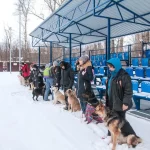 Занятия йогой, фитнесом в спортзале Кинологический центр Сокольники Москва