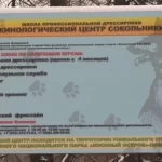 Занятия йогой, фитнесом в спортзале Кинологический центр Сокольники Москва