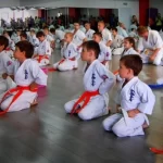 Занятия йогой, фитнесом в спортзале Киокушин Профи Новосибирск