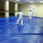 Занятия йогой, фитнесом в спортзале Клуб айкидо айкикай Айсинкан Москва
