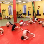 Занятия йогой, фитнесом в спортзале Клуб боевого самбо МЭИ Альянс Москва