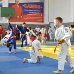 Занятия йогой, фитнесом в спортзале Клуб дзюдо и самбо Сочи
