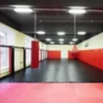 Занятия йогой, фитнесом в спортзале Клуб единоборств Sensei Москва